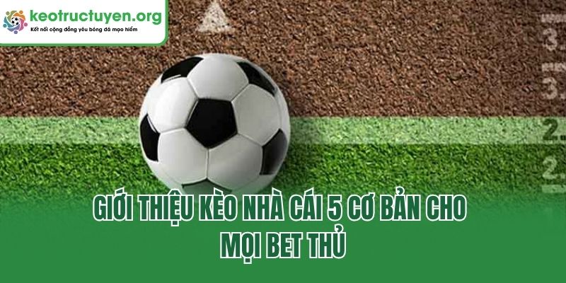Giới thiệu kèo nhà cái 5 cơ bản cho mọi bet thủ