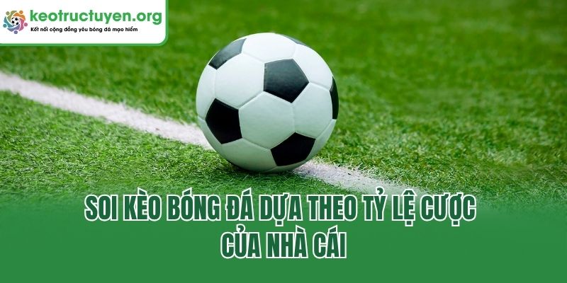 Soi kèo bóng đá dựa theo tỷ lệ cược của nhà cái