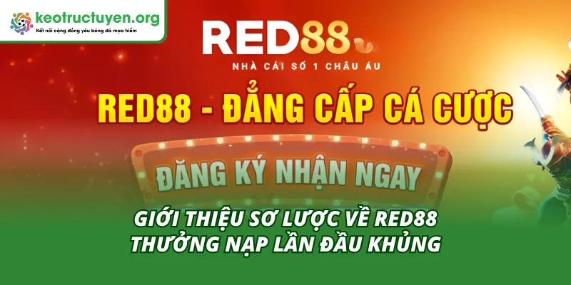 Tìm hiểu sơ lược về thưởng nạp cùng Red88