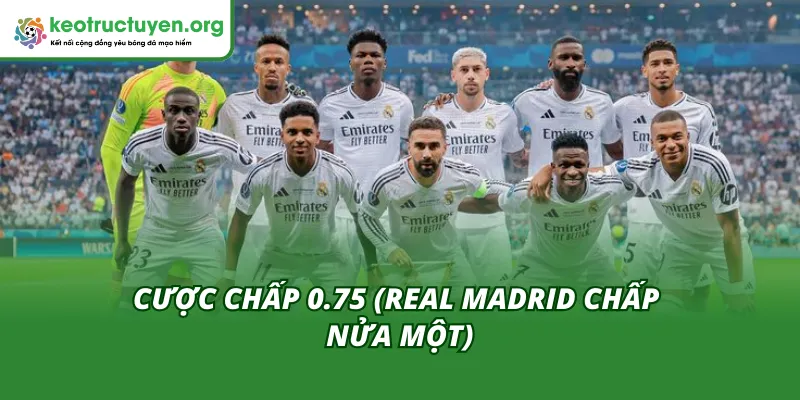 Cược chấp 0.75 là mức hời của tỷ lệ kèo trận Benfica - Real Madrid 18/02