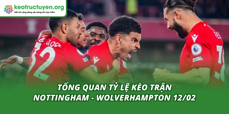 Thông số đáng chú ý ở cuộc chạm trán Nottingham vs Wolverhampton